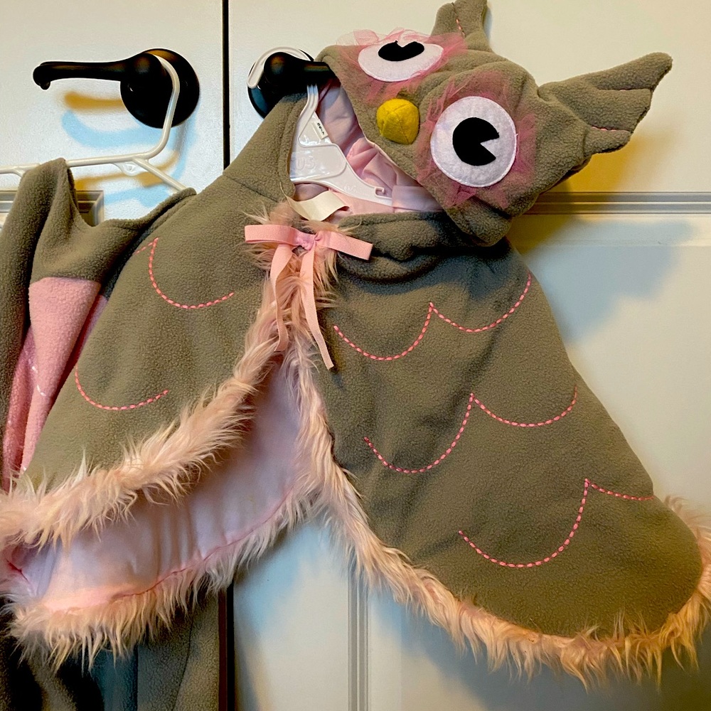 Pottery Barn Kids owl costume